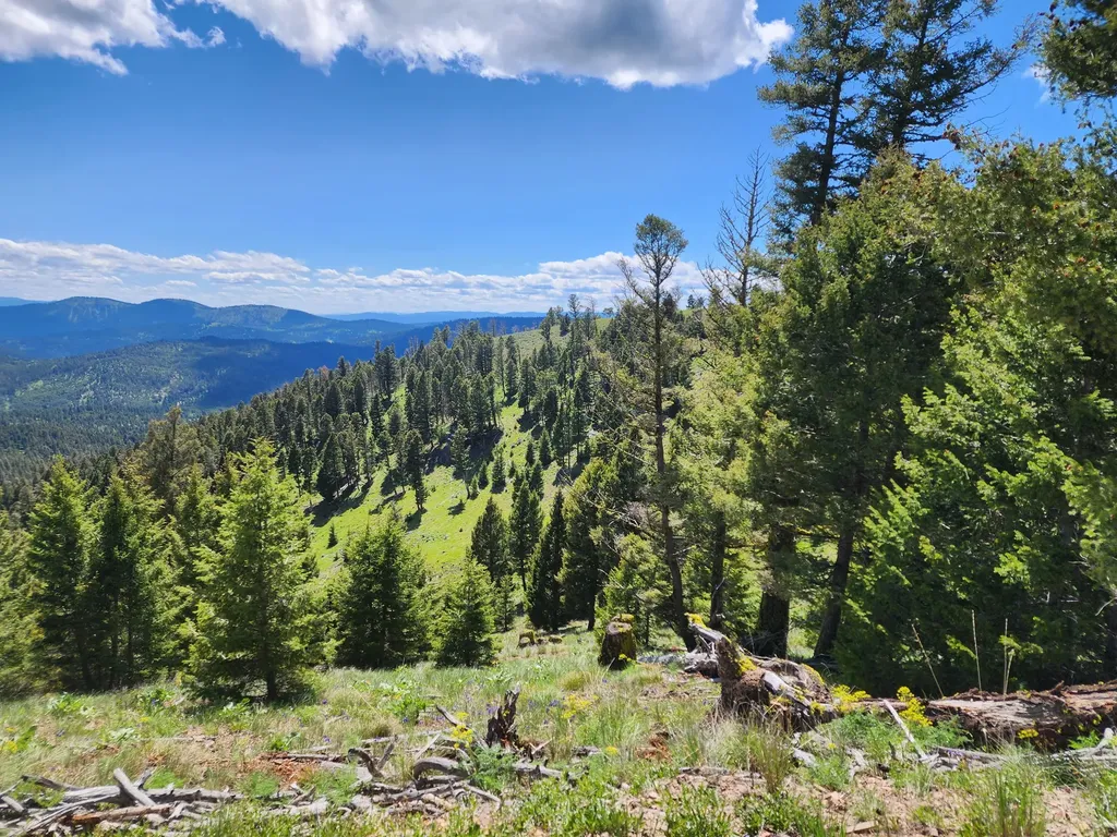 Lot 26 Westridge Road Helmville MT 59843