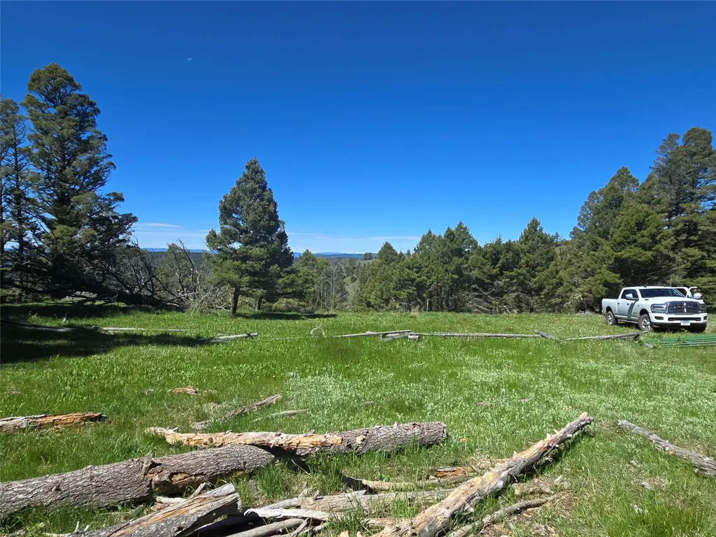 Lot 26 Westridge Road Helmville MT 59843
