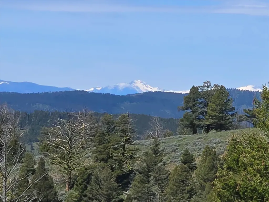 Lot 26 Westridge Road Helmville MT 59843