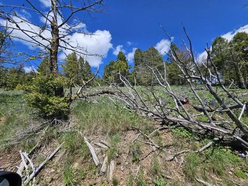 Lot 26 Westridge Road Helmville MT 59843