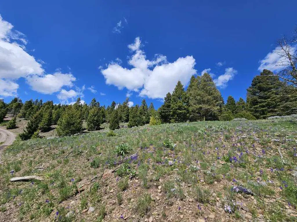 Lot 26 Westridge Road Helmville MT 59843