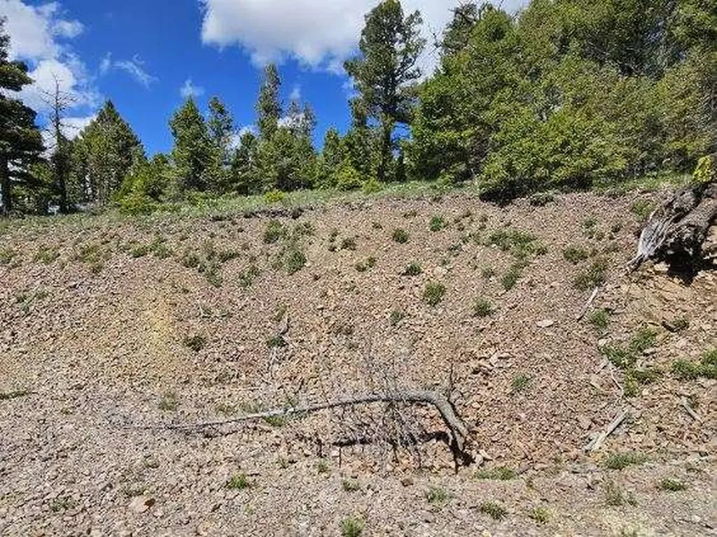 Lot 26 Westridge Road Helmville MT 59843