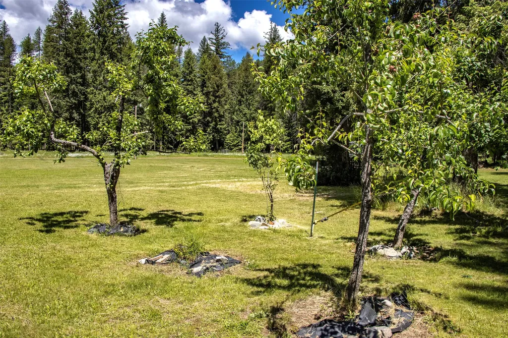 2 Rose Woods Lane Noxon MT 59853