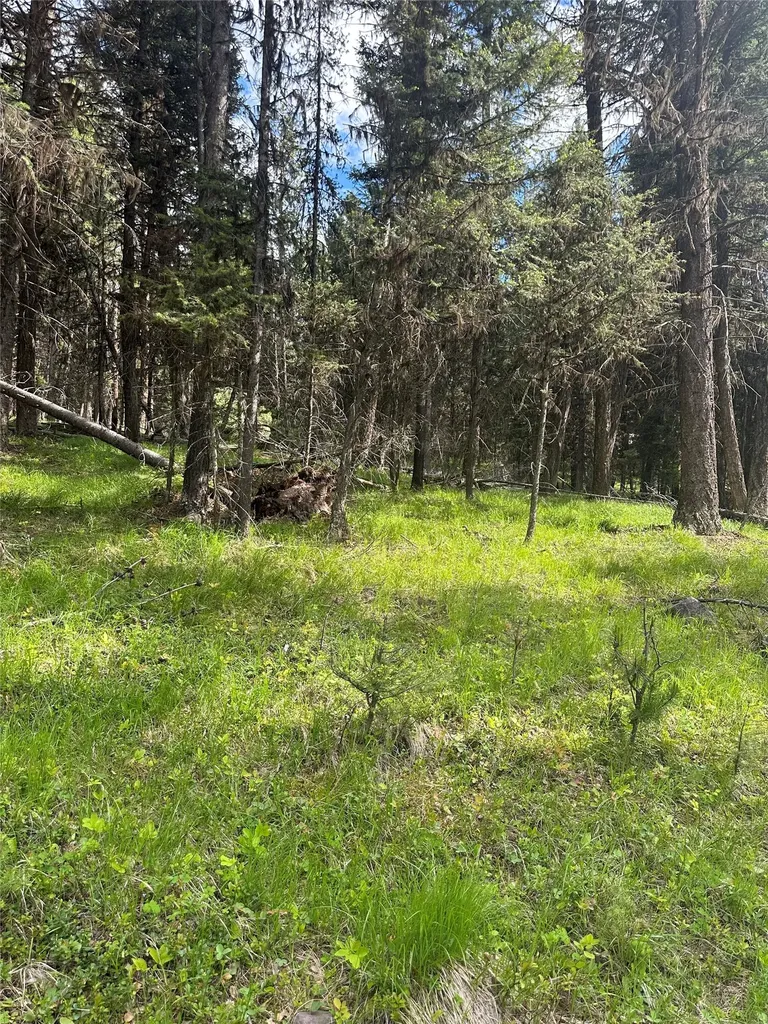 1274 Grandview Drive Seeley Lake MT 59868