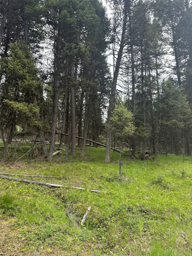 1274 Grandview Drive Seeley Lake MT 59868
