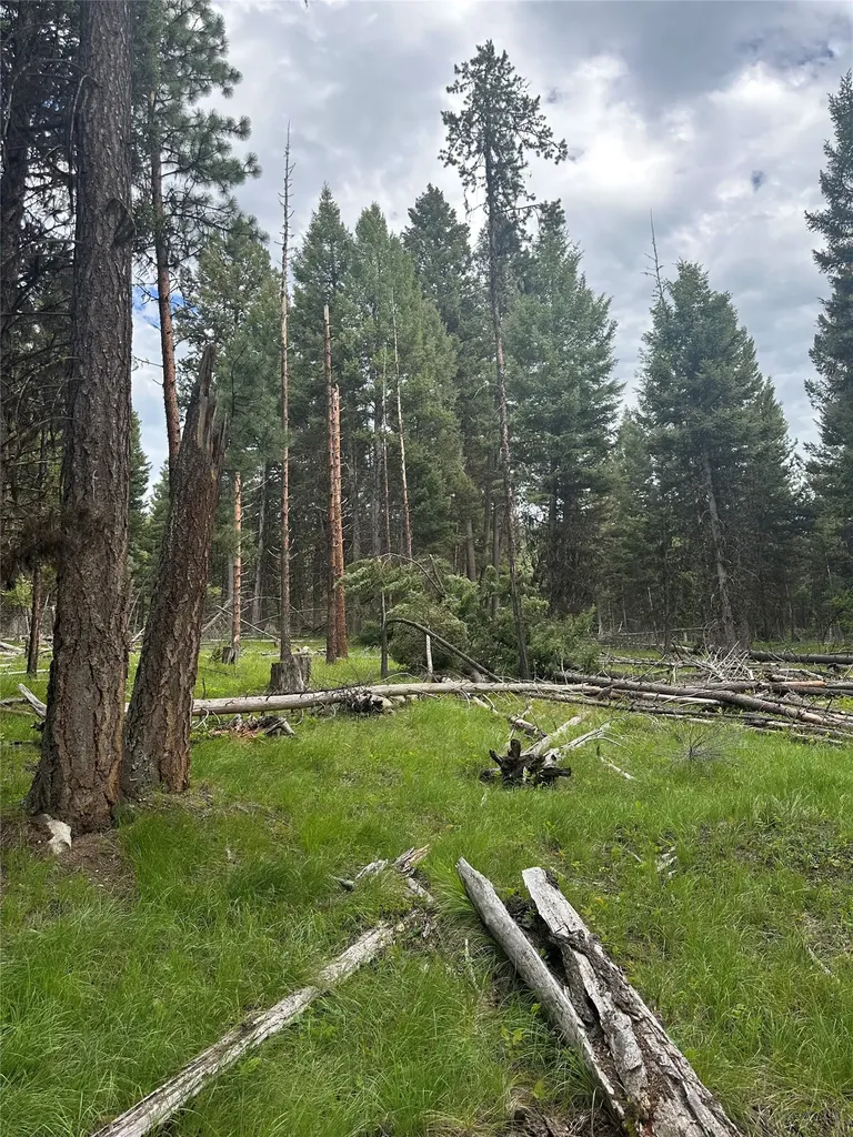 1274 Grandview Drive Seeley Lake MT 59868