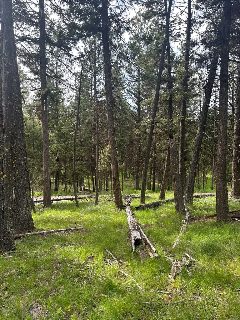1274 Grandview Drive Seeley Lake MT 59868