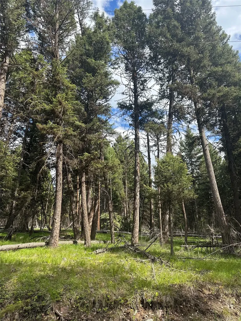 1274 Grandview Drive Seeley Lake MT 59868