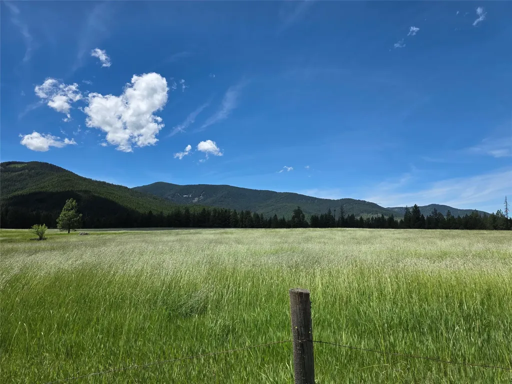 Lot 1 S Hill Road Trout Creek MT 59874