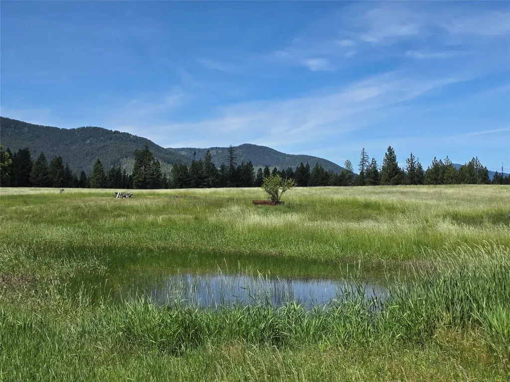 Lot # 1 S Hill Road Trout Creek MT 59874