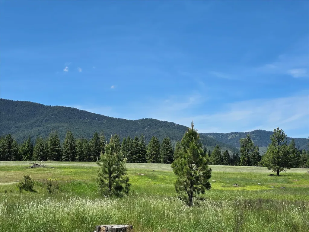 Lot # 1 S Hill Road Trout Creek MT 59874