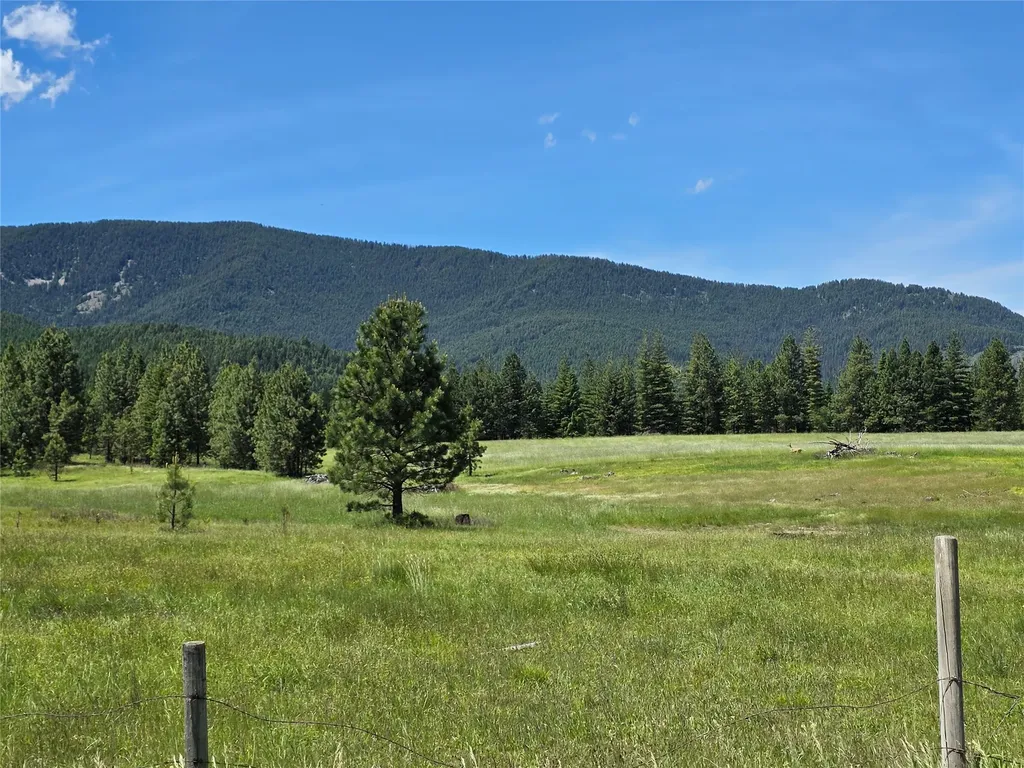 Lot # 1 S Hill Road Trout Creek MT 59874