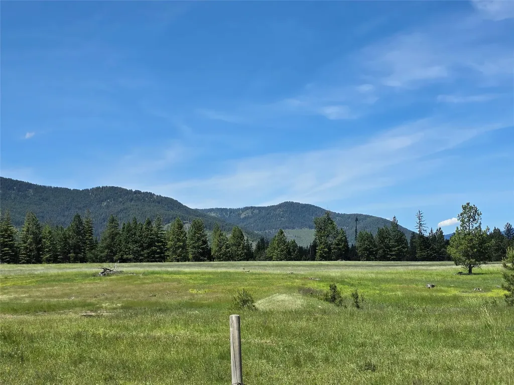 Lot # 1 S Hill Road Trout Creek MT 59874