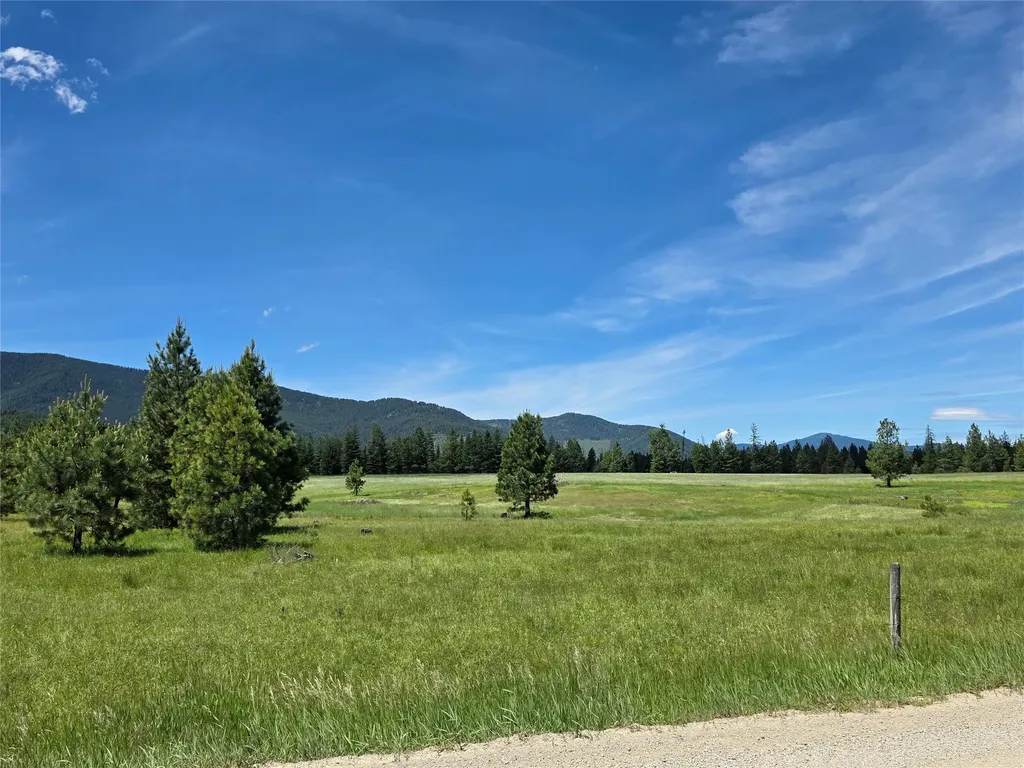 Lot # 1 S Hill Road Trout Creek MT 59874