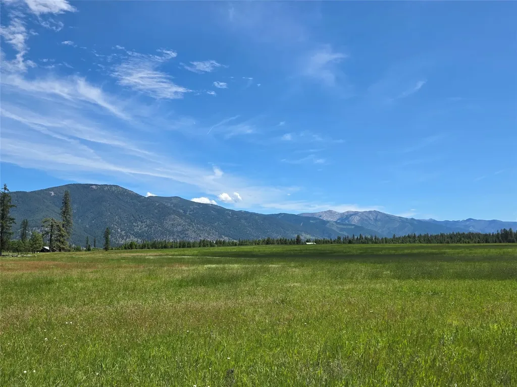 Lot # 1 S Hill Road Trout Creek MT 59874