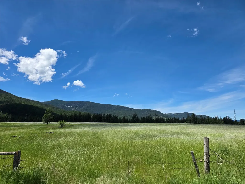 Lot 1 S Hill Road Trout Creek MT 59874