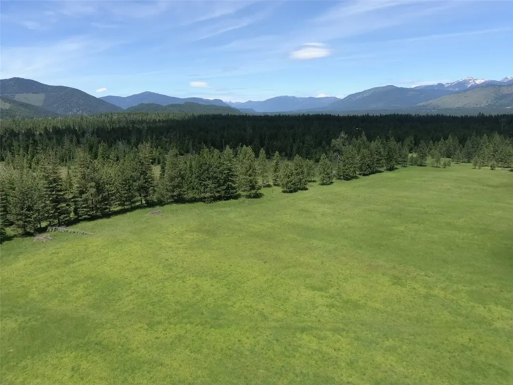 Lot # 1 S Hill Road Trout Creek MT 59874