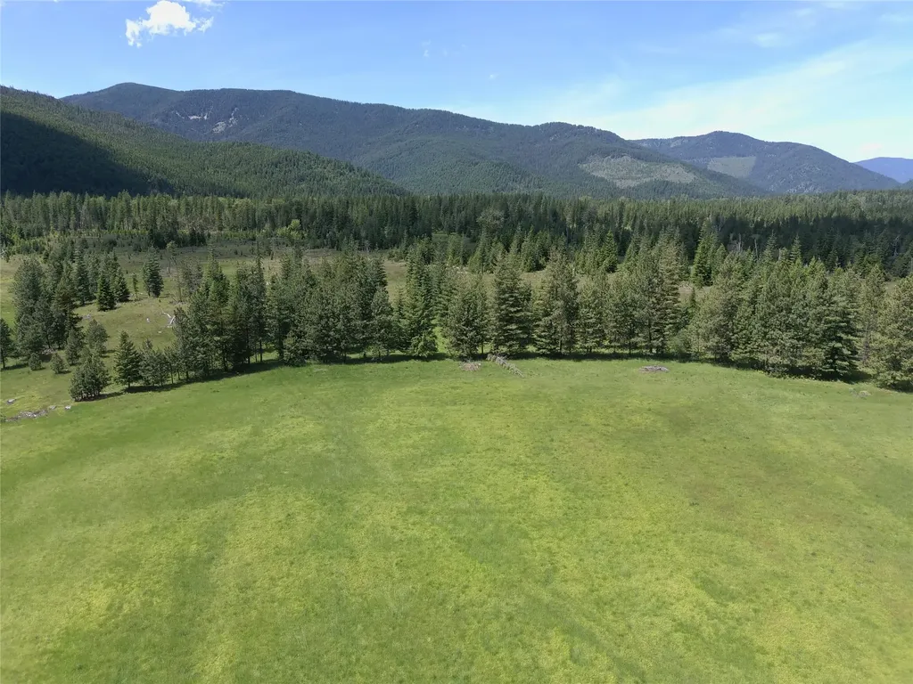 Lot # 1 S Hill Road Trout Creek MT 59874