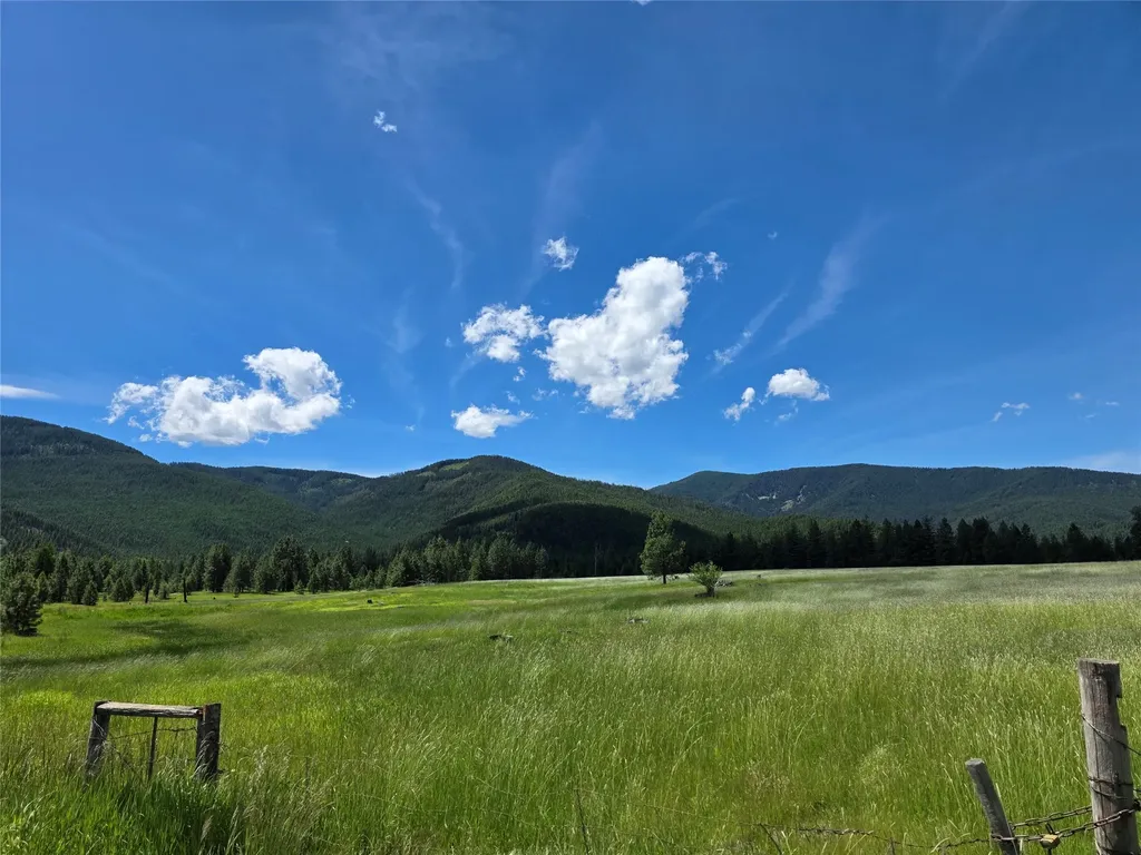 Lot 1 S Hill Road Trout Creek MT 59874
