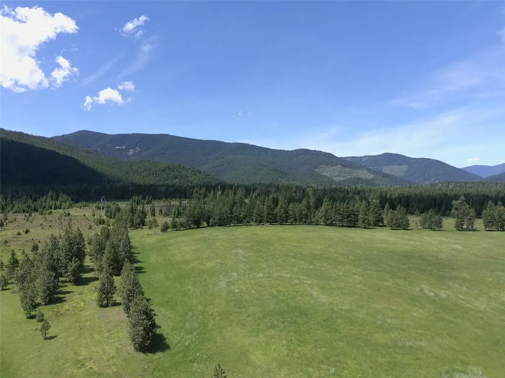 Lot # 1 S Hill Road Trout Creek MT 59874