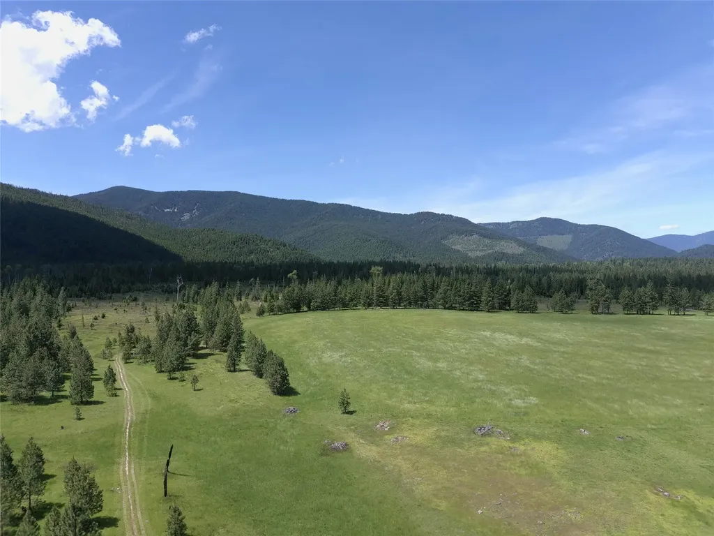 Lot 1 S Hill Road Trout Creek MT 59874