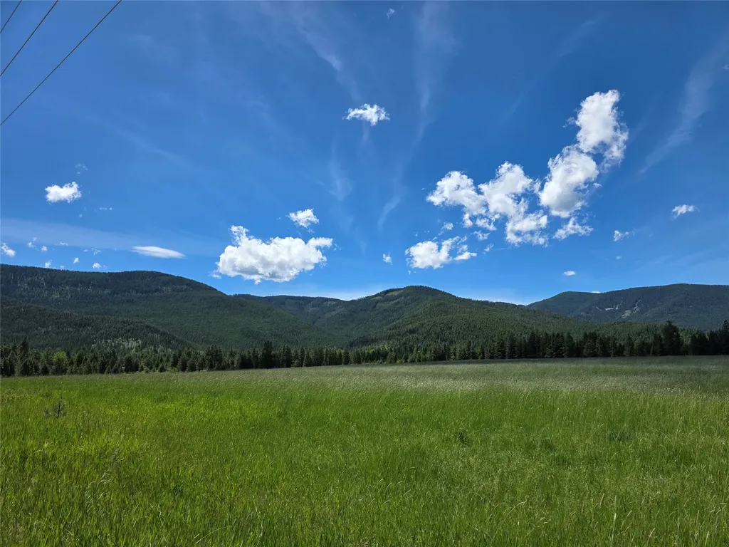 Lot # 1 S Hill Road Trout Creek MT 59874