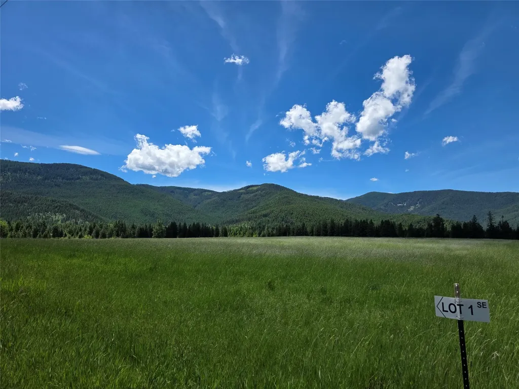 Lot # 1 S Hill Road Trout Creek MT 59874