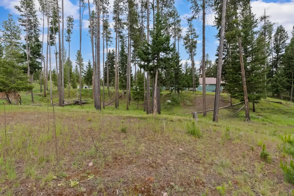290 Drew Creek Loop Seeley Lake MT 59868
