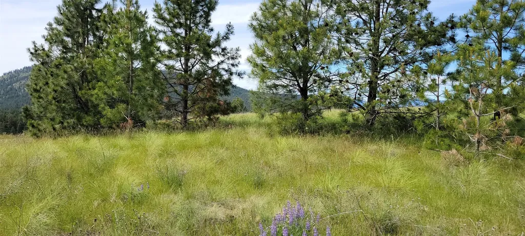 Nhn Sunrise Heights Polson MT 59860