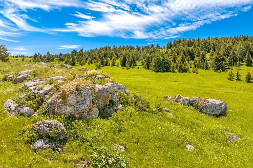 125 Logging Creek Road Monarch MT 59463