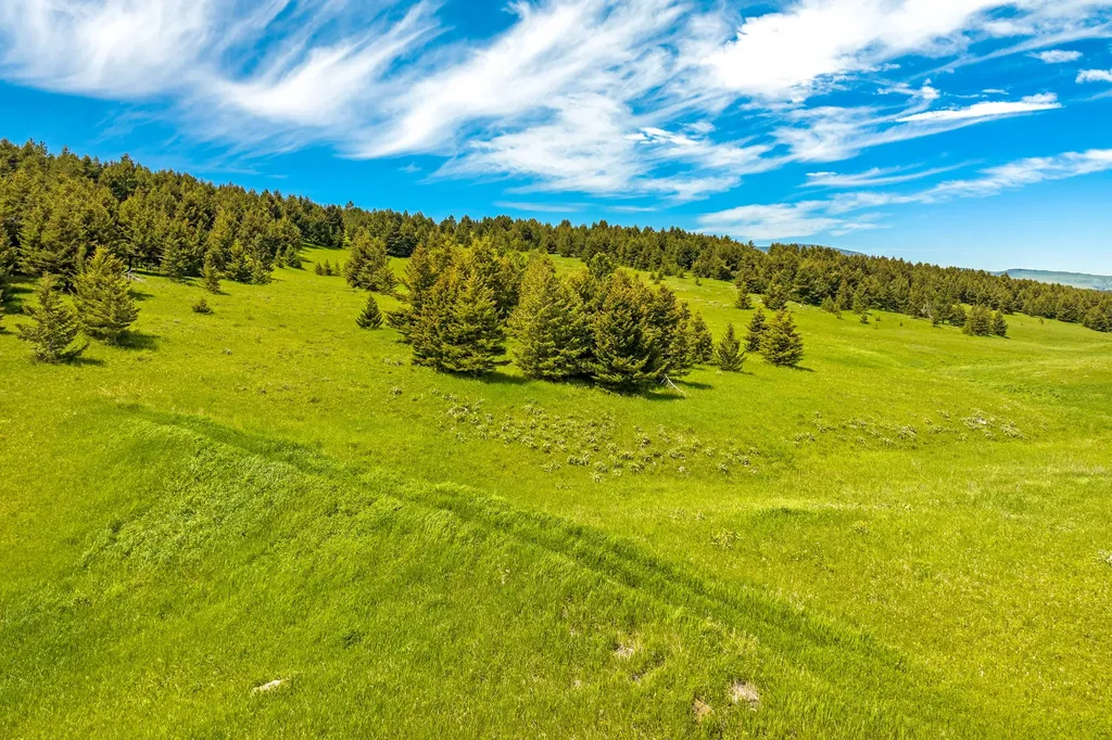 125 Logging Creek Road Monarch MT 59463
