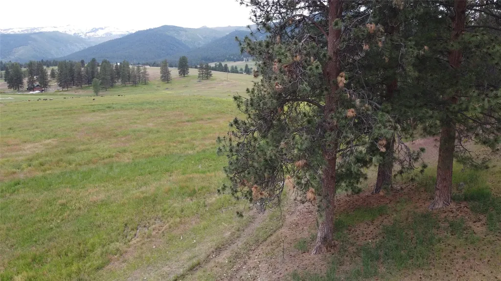 382 Sweathouse Creek Road Victor MT 59875