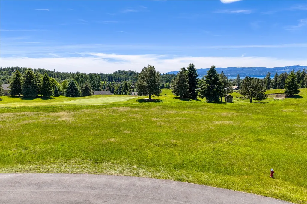 1454 Ponderosa Ridge Drive Bigfork MT 59911
