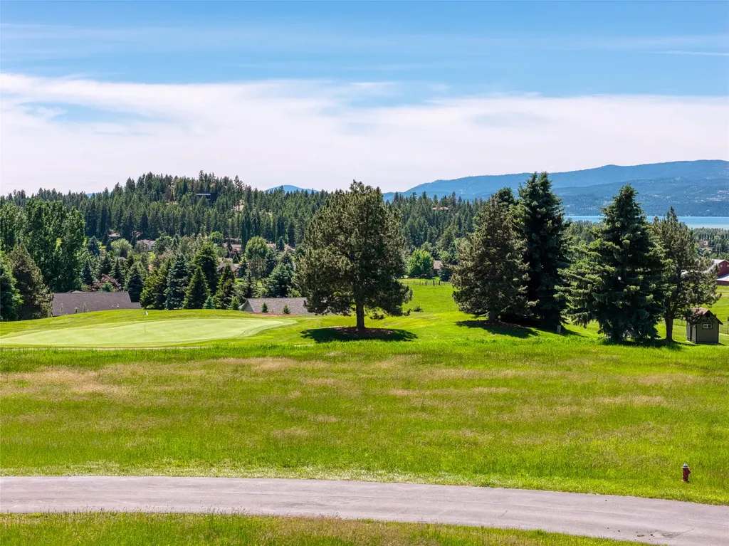 1454 Ponderosa Ridge Drive Bigfork MT 59911