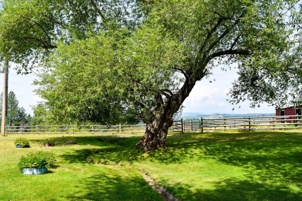 42377 Windy Ridge Lane Ronan MT 59864