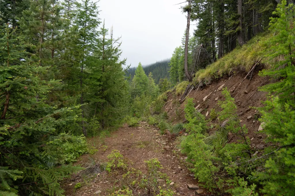 2197 W Tower Road Saltese MT 59867