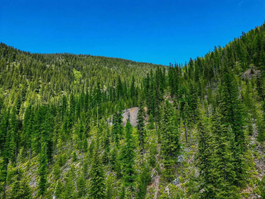 2197 W Tower Road Saltese MT 59867