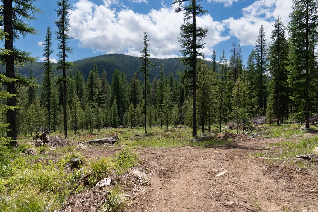 2197 W Tower Road Saltese MT 59867