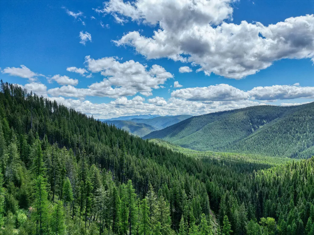 2197 W Tower Road Saltese MT 59867