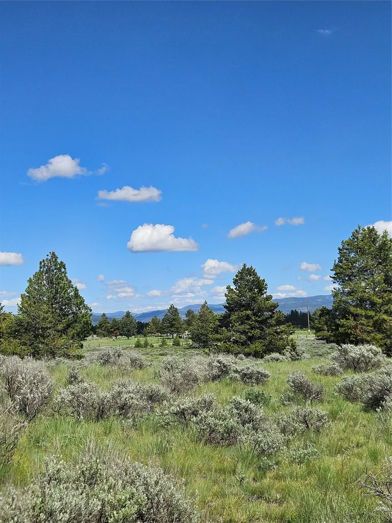1720 High Chapparal Drive Lincoln MT 59639