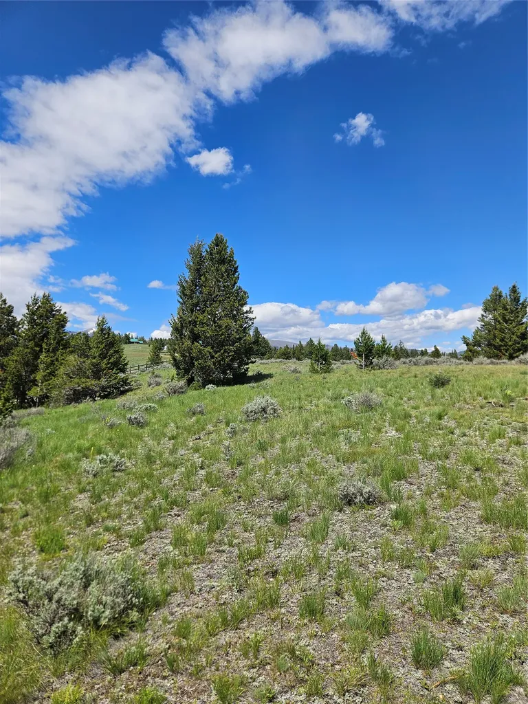 1720 High Chapparal Drive Lincoln MT 59639
