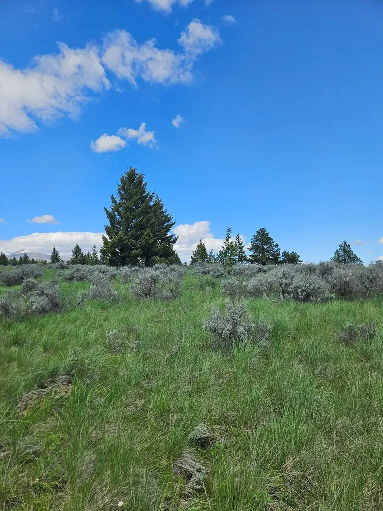 1720 High Chapparal Drive Lincoln MT 59639