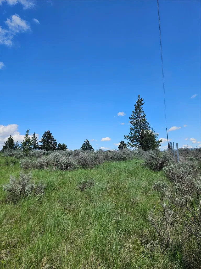 1720 High Chapparal Drive Lincoln MT 59639