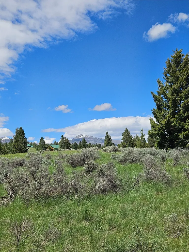 1720 High Chapparal Drive Lincoln MT 59639