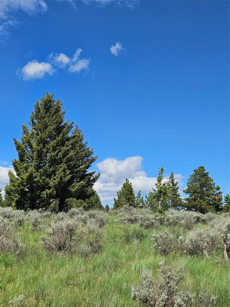 1720 High Chapparal Drive Lincoln MT 59639