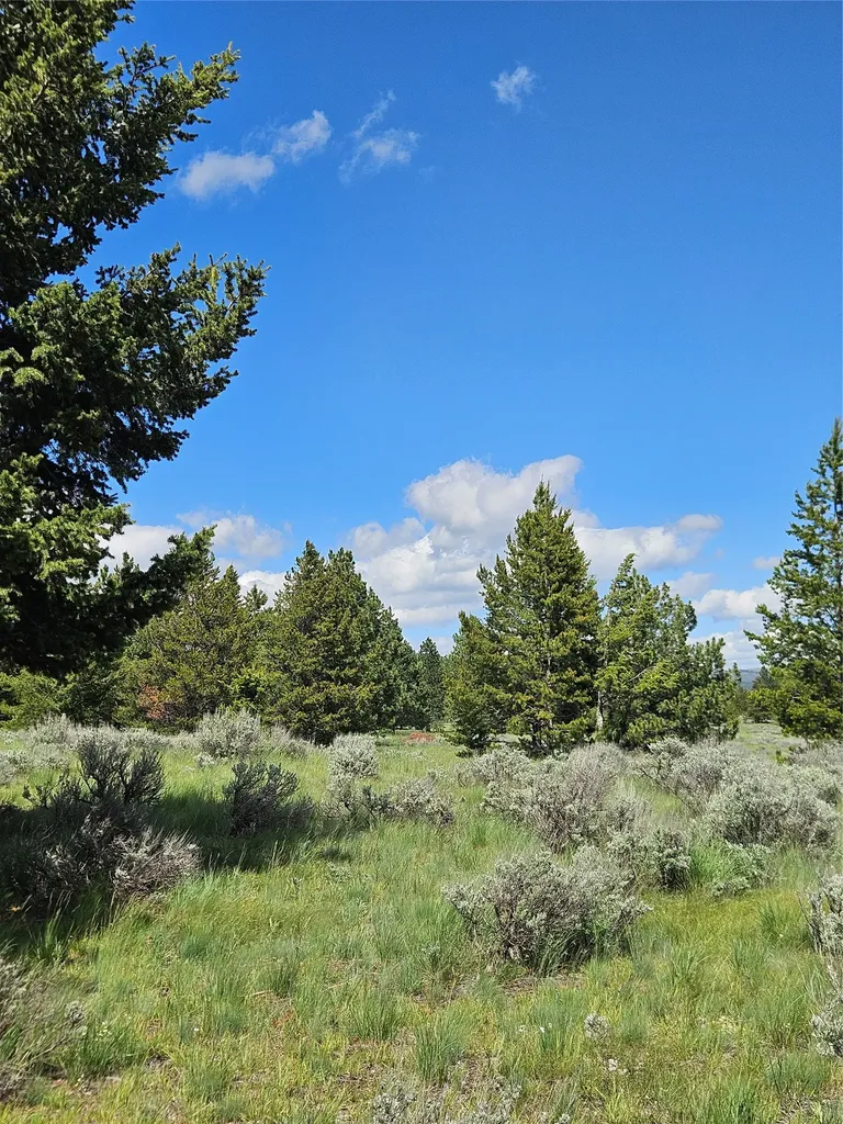 1720 High Chapparal Drive Lincoln MT 59639