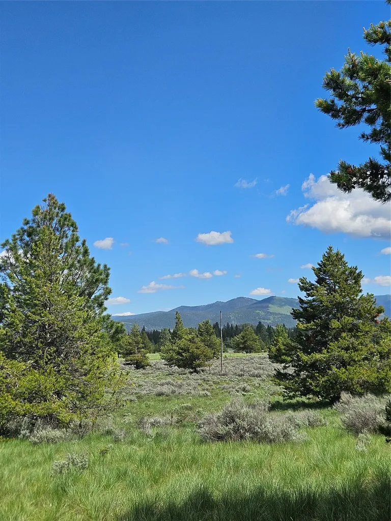 1720 High Chapparal Drive Lincoln MT 59639