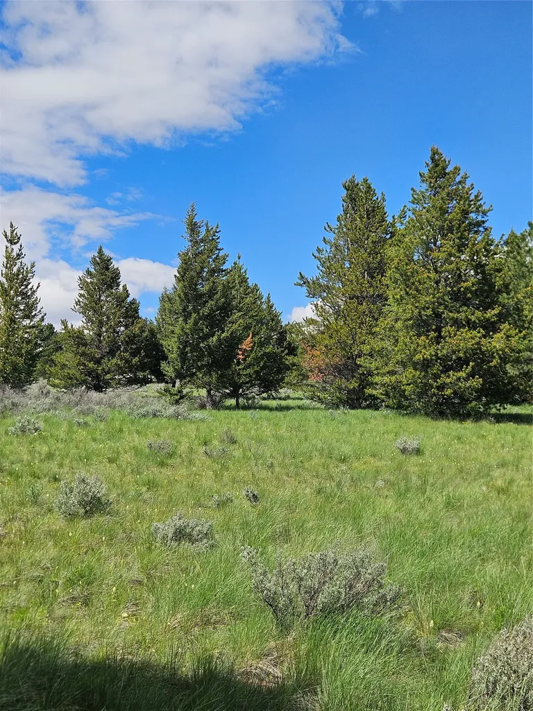 1720 High Chapparal Drive Lincoln MT 59639