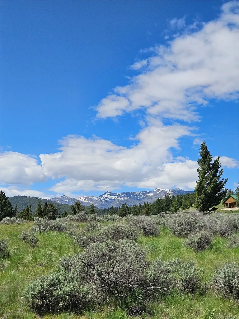 1720 High Chapparal Drive Lincoln MT 59639