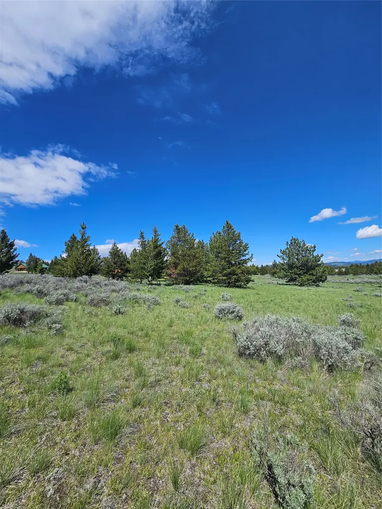 1720 High Chapparal Drive Lincoln MT 59639